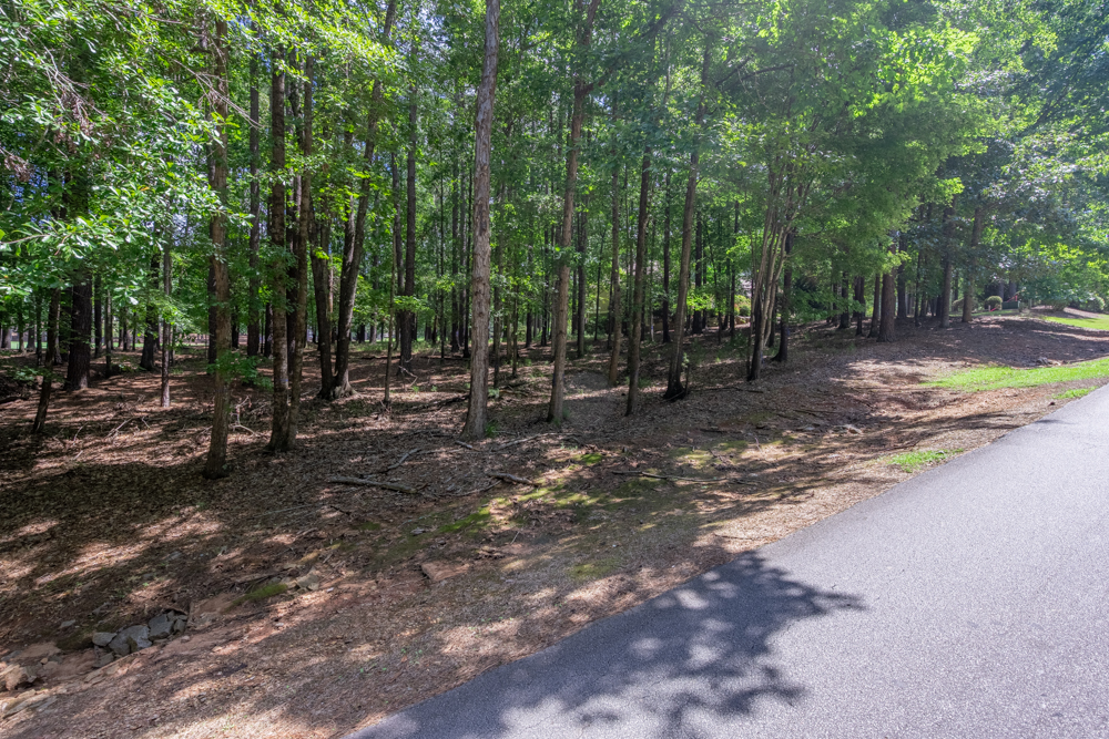 2721 Parrott's Pointe Road image 4